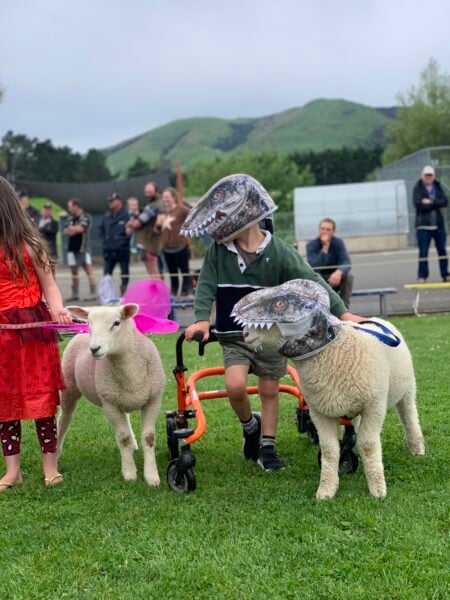 A young person stands on a grassy field with his orange walking frame wearing a dinosaur helmet, his face obscured. He stands with a sheep who also wears a similar dinosaur good. There is another child in a red dress with a sheep next to him and spectators in the distance on a mountinous backdrop. 